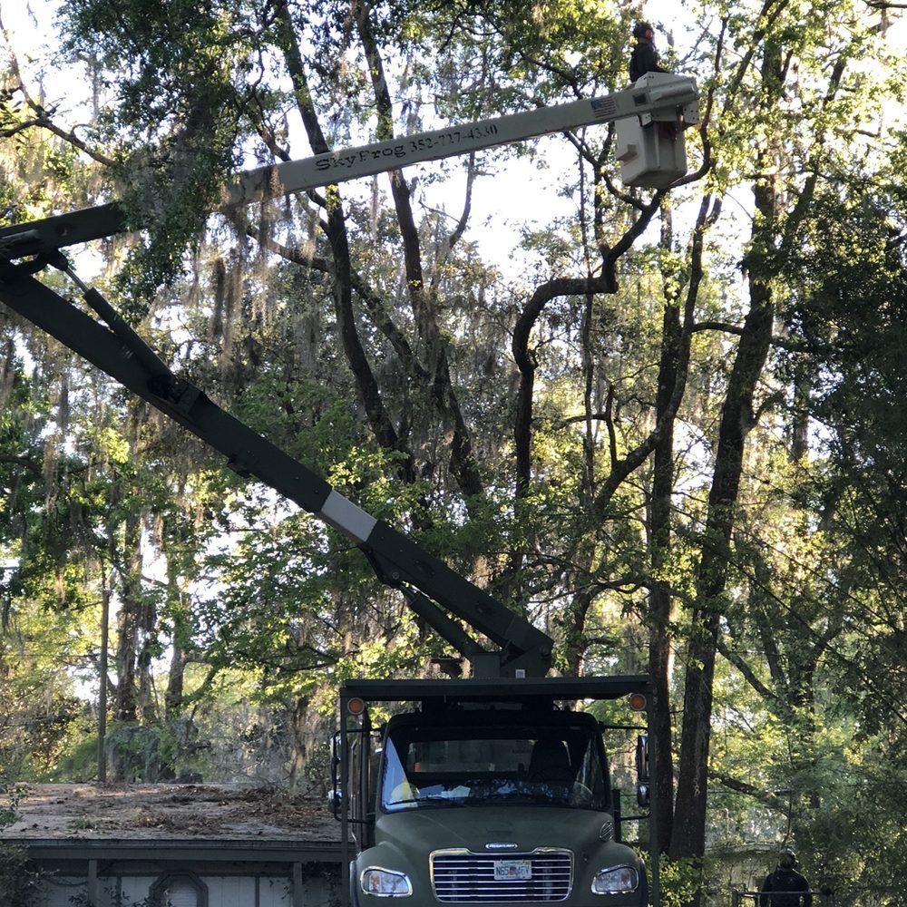 SkyFrog Tree Service - Tree Services Near Me - Archer, Florida SkyFrog Tree Service - Tree Services Near Me - Archer, Florida