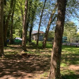 Where we think that putrid smell is coming from right next to the camp site Where we think that putrid smell is coming from right next to the camp site