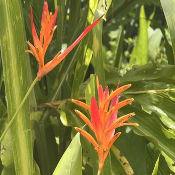 Hike Maui - Tours Near Me - Kahului, Hawaii Hike Maui - Tours Near Me - Kahului, Hawaii