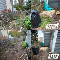 Seasonal Services - Before & after pictures of overgrowth cleanup