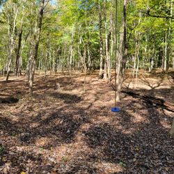 Earl H. Barnhart "Buzzard's Roost" Nature Preserve - Swing on Kids Nature Zone Trail