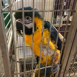 Aggie Feed & Chic - This place needs to be shut down. They are not even ATTEMPTING to take care of their animals