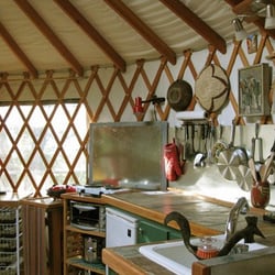 A yurt in the woods