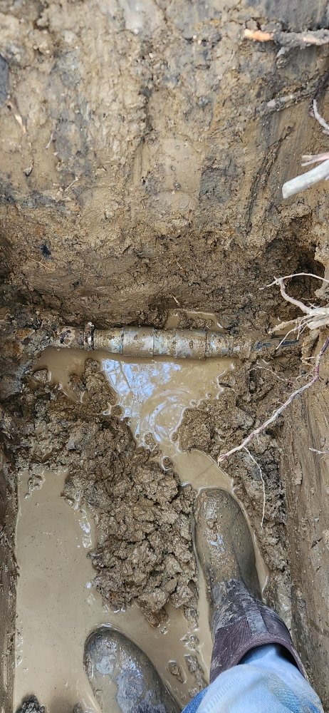 Slide of Koda's Plumbing