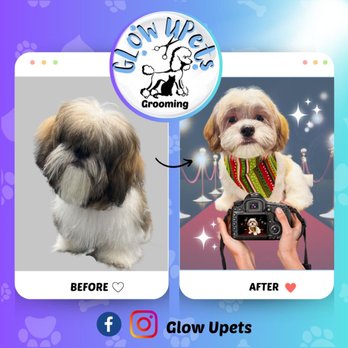 Glow Upets Grooming - Pet Groomers Near Me - San José, California Glow Upets Grooming - Pet Groomers Near Me - San José, California