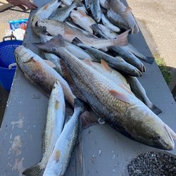 Southern Comfort Fishing Charters - Fishing the best way