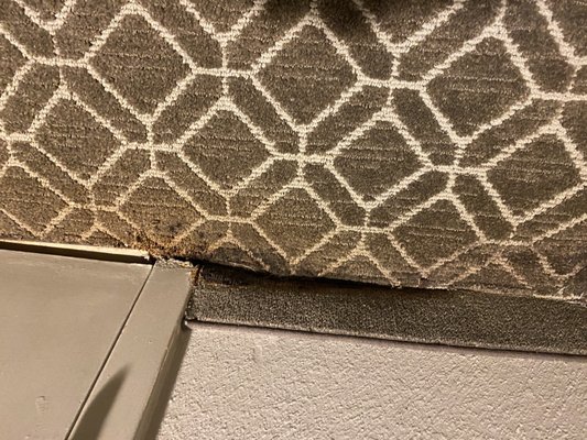 Crowne Plaza New Orleans French Qtr - Astor by null