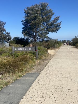 The Spa at Torrey Pines by null