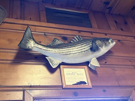 The Golden Gate Angling & Casting Club by null