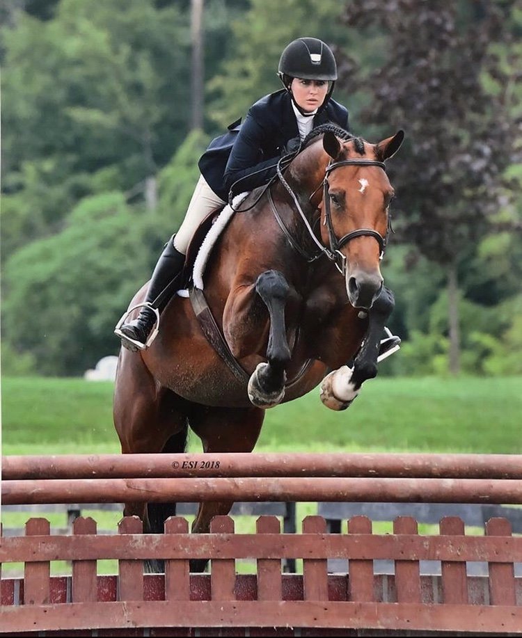 Stone Lane Stables - equestrian in West Bloomfield, NY