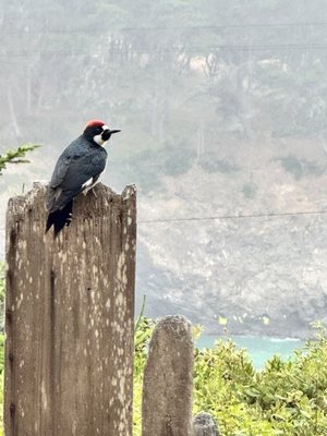 Brewery Gulch Inn & Spa by null