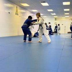 Apex BJJ