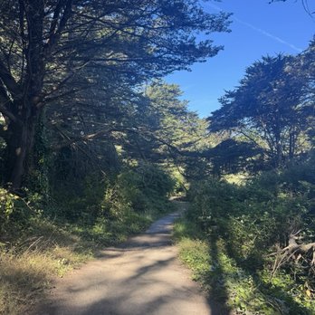 Lands End Trail - Trail - Hiking Near Me - San Francisco, California