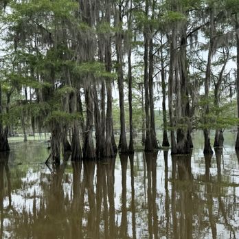 Caddo Lake - Big Cypress Tour - Boat Tours Near Me Caddo Lake - Big Cypress Tour - Boat Tours Near Me