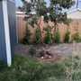 Photo of Verdant Oasis Landscape and Maintenance