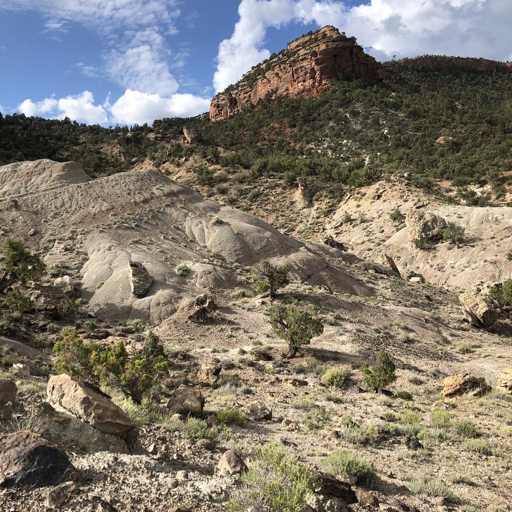 Adrenaline Driven Adventure - Colorado National Monument back country trails - ATV Rentals/Tours Near Me - Grand Junction, Colorado Adrenaline Driven Adventure - Colorado National Monument back country trails - ATV Rentals/Tours Near Me - Grand Junction, Colorado