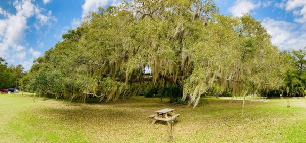 Cannon's Point Preserve by null