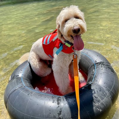 Rockin' R River Rides - Gruene by null