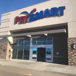 PetSmart Dog Training