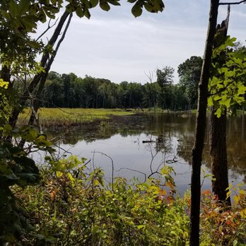 North Point State Park - Marsh - Parks Near Me - Edgemere, Maryland