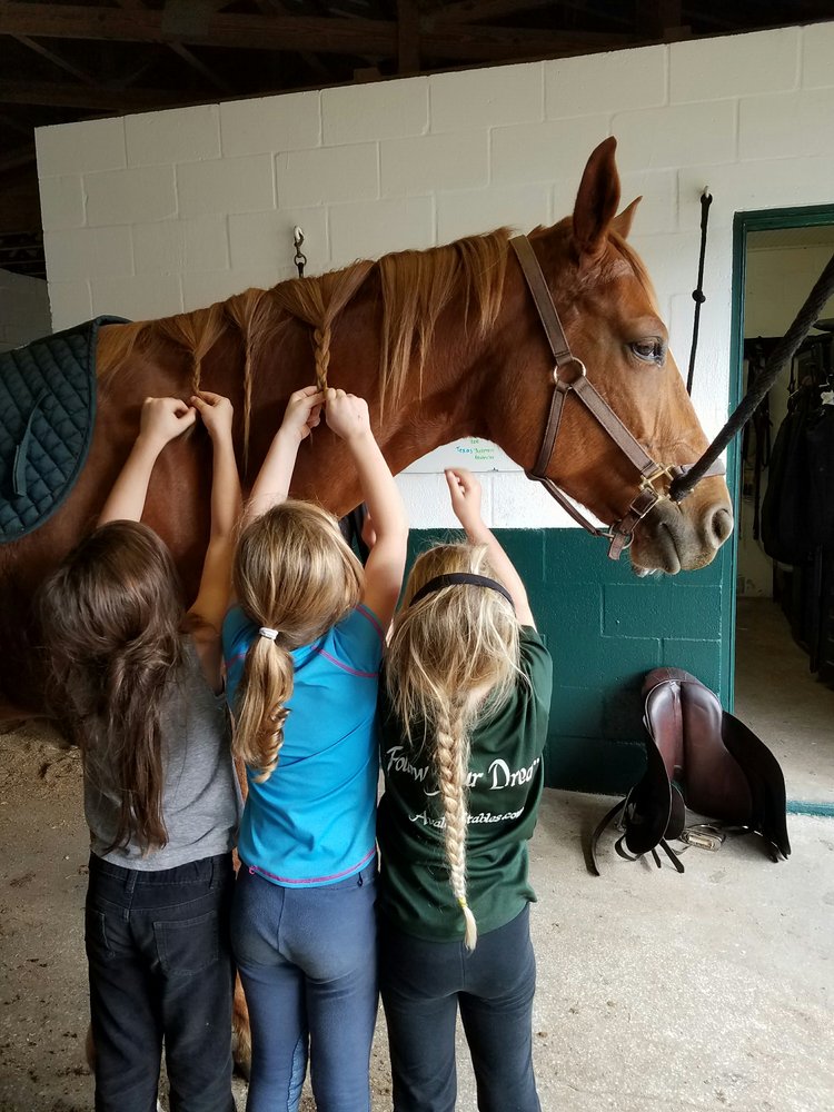 Avalon Riding Academy - equestrian in Tampa, FL