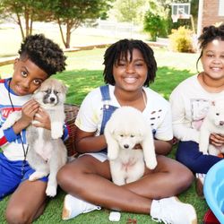 Victory Kennel Club