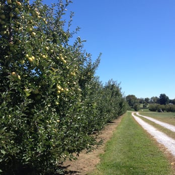 Evans Orchard & Cider Mill - Fruits & Veggies Near Me - Georgetown, Kentucky Evans Orchard & Cider Mill - Fruits & Veggies Near Me - Georgetown, Kentucky