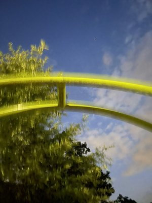 Chastain Park by null