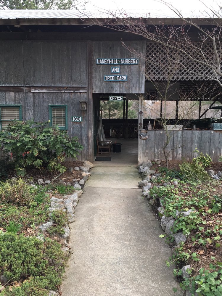 LANEYHILL NURSERY & TREE FARM Updated August 2024 1614 Trinity