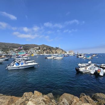 Catalina Island - Local Flavor Near Me
