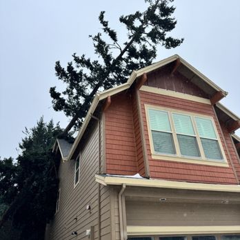 Samsara Tree Care - Tree Services Near Me - Portland, Oregon Samsara Tree Care - Tree Services Near Me - Portland, Oregon