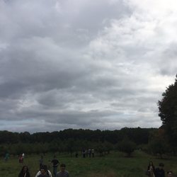 Steere Orchard - View from wagon ride