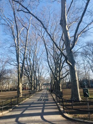 Msgr. McGolrick Park by null