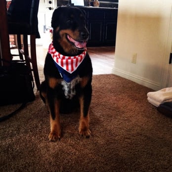 Groom & Board - Jane post Groom & Board, family holiday Big Bear Lake, 4th of July, 2014 - Pet Groomers Near Me - Placentia, California Groom & Board - Jane post Groom & Board, family holiday Big Bear Lake, 4th of July, 2014 - Pet Groomers Near Me - Placentia, California