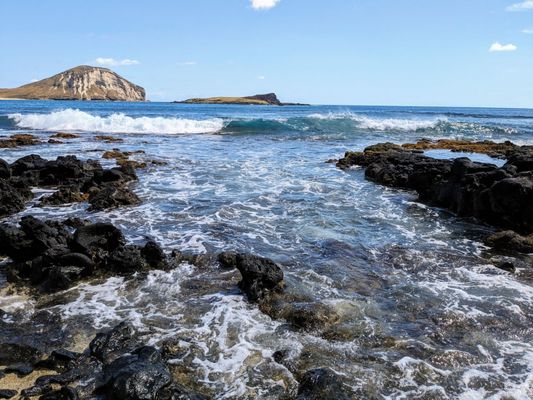 Makapuu Beach Park by null