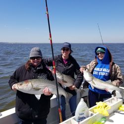 Sea Beast Charters