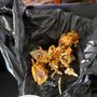 Photo of Paratha Grill