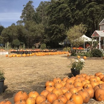 Pastorino's Flowers - Florists Near Me - Half Moon Bay, California