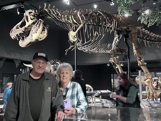 Museum of the Rockies by null