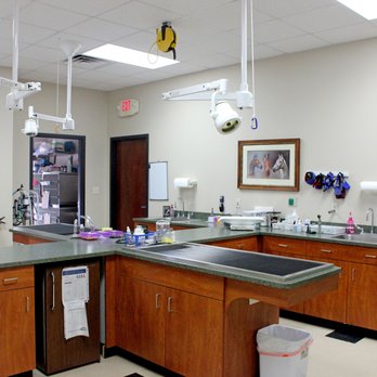 Brandywine Veterinary Hospital - Veterinarians Near Me - Wilson, North Carolina Brandywine Veterinary Hospital - Veterinarians Near Me - Wilson, North Carolina