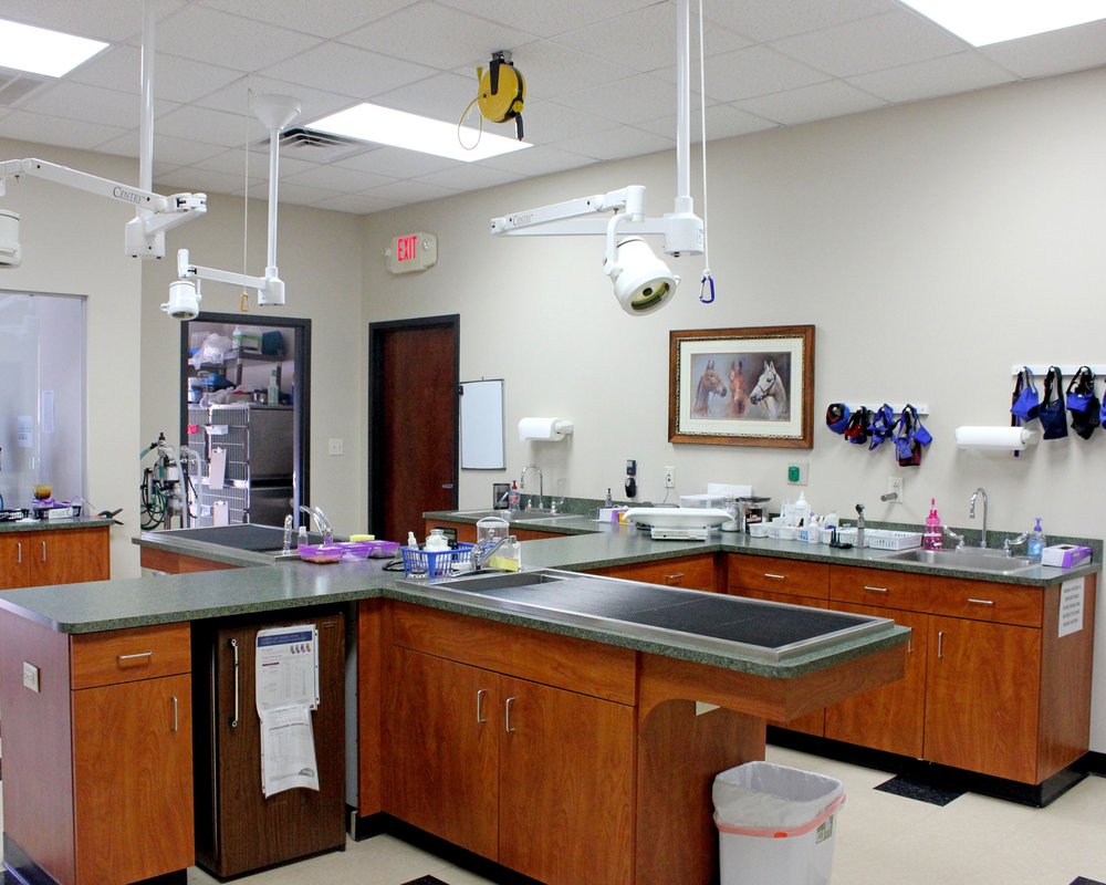 Brandywine Veterinary Hospital Image