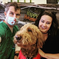 Complete Chiropractic Solutions - Our staff ready for Halloween!
