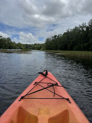 Rainbow Springs State Park by null