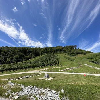 Stone Ashe Vineyard - Gorgeous - Wineries Near Me - Hendersonville, North Carolina Stone Ashe Vineyard - Gorgeous - Wineries Near Me - Hendersonville, North Carolina