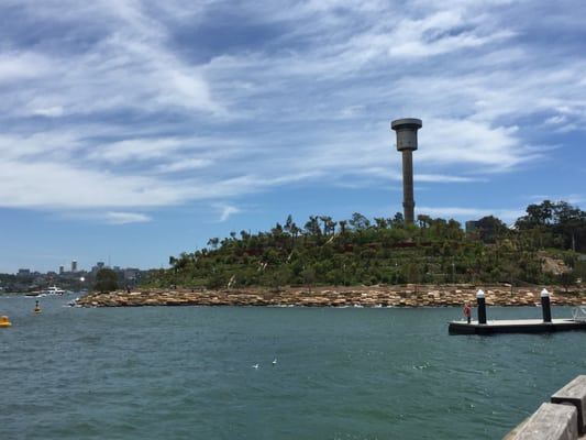 Barangaroo Reserve by null