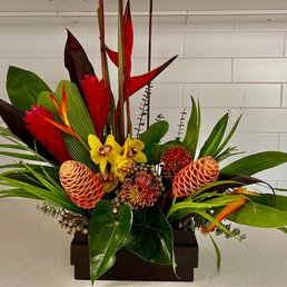 Orchids, gingers, pin cushions, bird of paradise