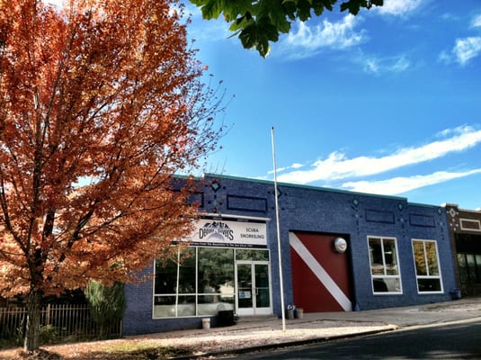 Denver Divers and The Swim School of Denver by null