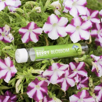 CBD Plus USA - Lubbock - Berry Blossom 2 gram Hemp Preroll - Vitamins & Supplements Near Me - Lubbock, Texas CBD Plus USA - Lubbock - Berry Blossom 2 gram Hemp Preroll - Vitamins & Supplements Near Me - Lubbock, Texas