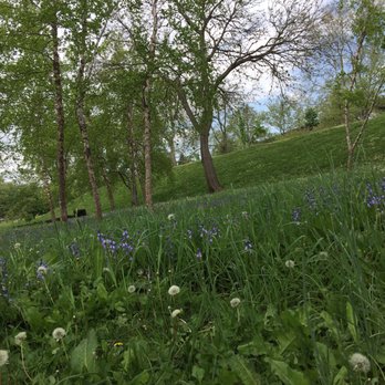 Randall's Island Park - Parks Near Me - New York, New York