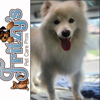 Fritzy's Pet Care Pros - The Fritzy's Best Mobile Groomer Service with American Eskimo Small Dog - Pet Groomers Near Me Fritzy's Pet Care Pros - The Fritzy's Best Mobile Groomer Service with American Eskimo Small Dog - Pet Groomers Near Me